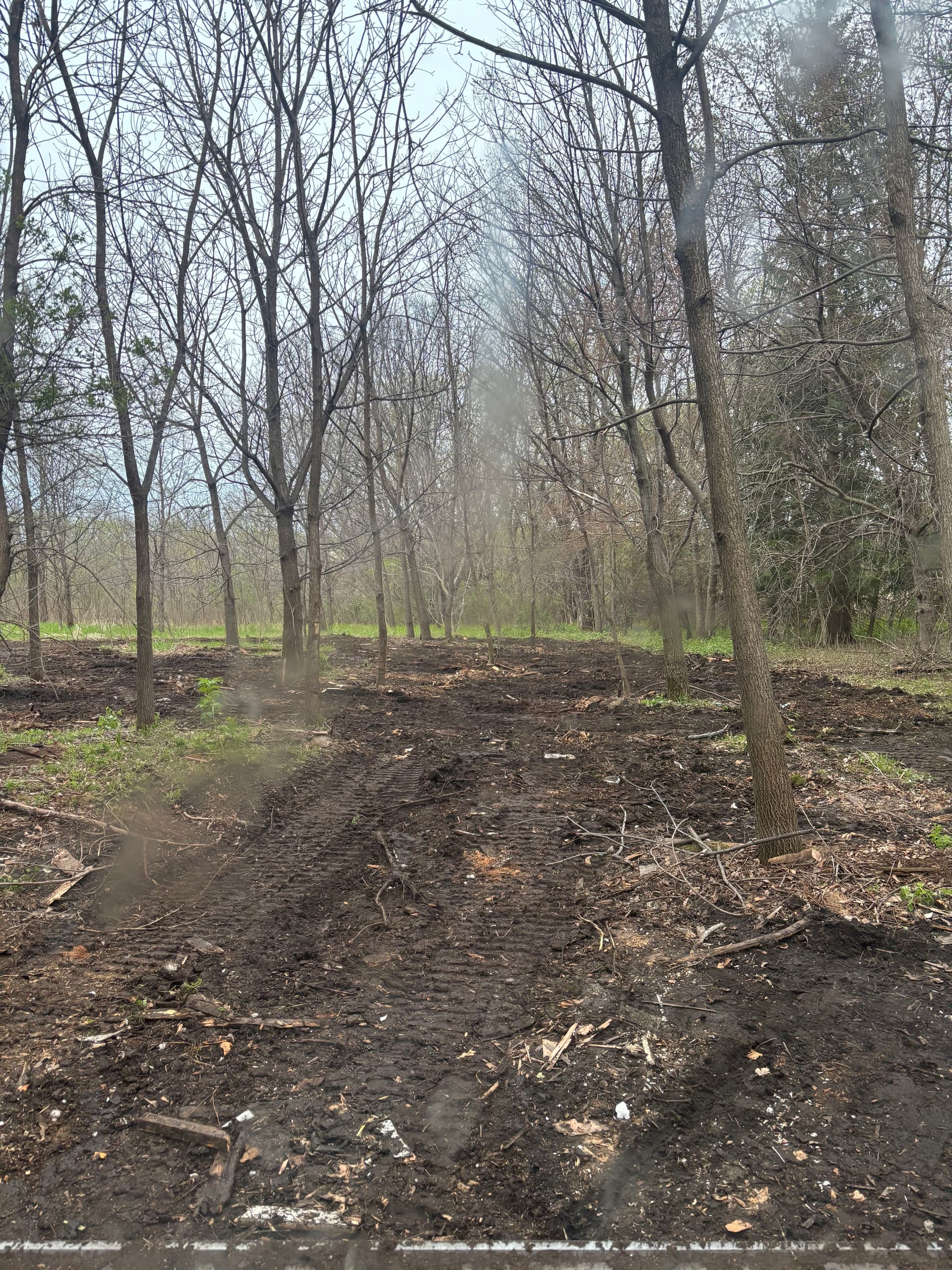 Gallery photos for Wooded Area Junk Cleanup and Site Clearing Done Right: Image #4