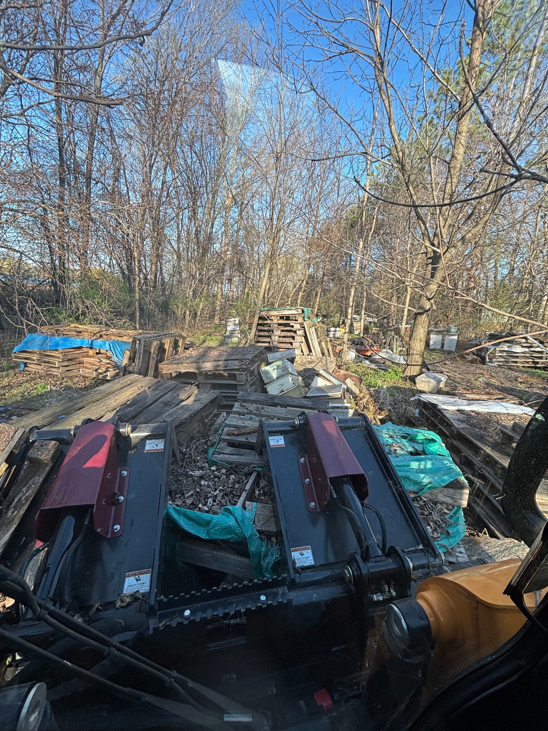 Wooded Area Junk Cleanup and Site Clearing Done Right image