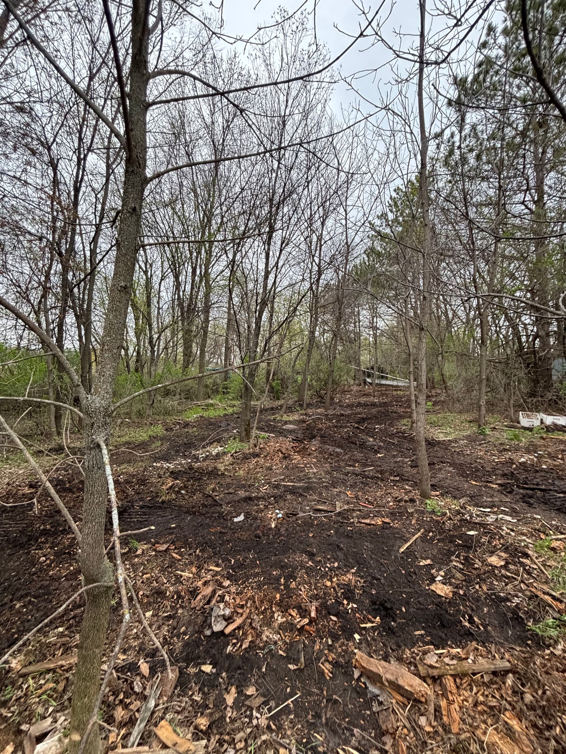 Gallery photos for Wooded Area Junk Cleanup and Site Clearing Done Right: Image #3