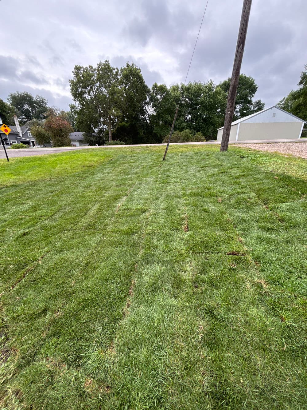 Freshly mowed green lawn with overcast sky and utility pole in the background.