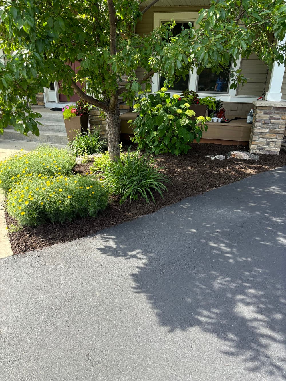 Lush garden with yellow flowers and greenery alongside a paved driveway and stone accents.
