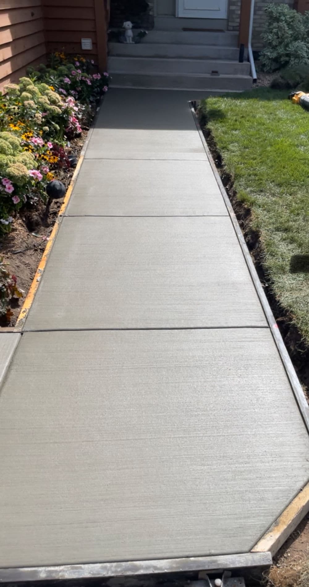 Newly poured concrete sidewalk alongside colorful flower beds and green grass.