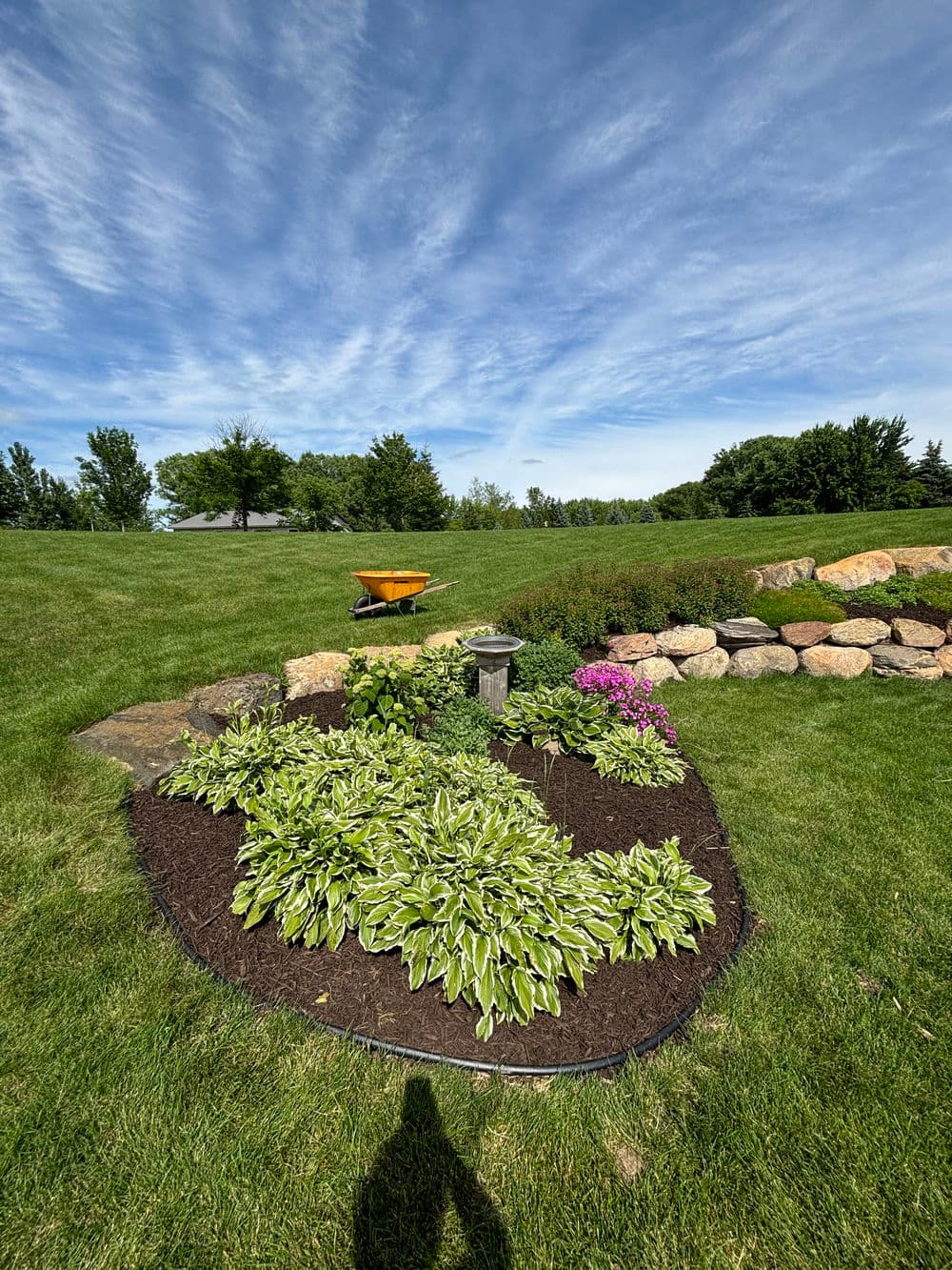 Lush garden bed with hostas, pink flowers, and a stone border under a blue sky.