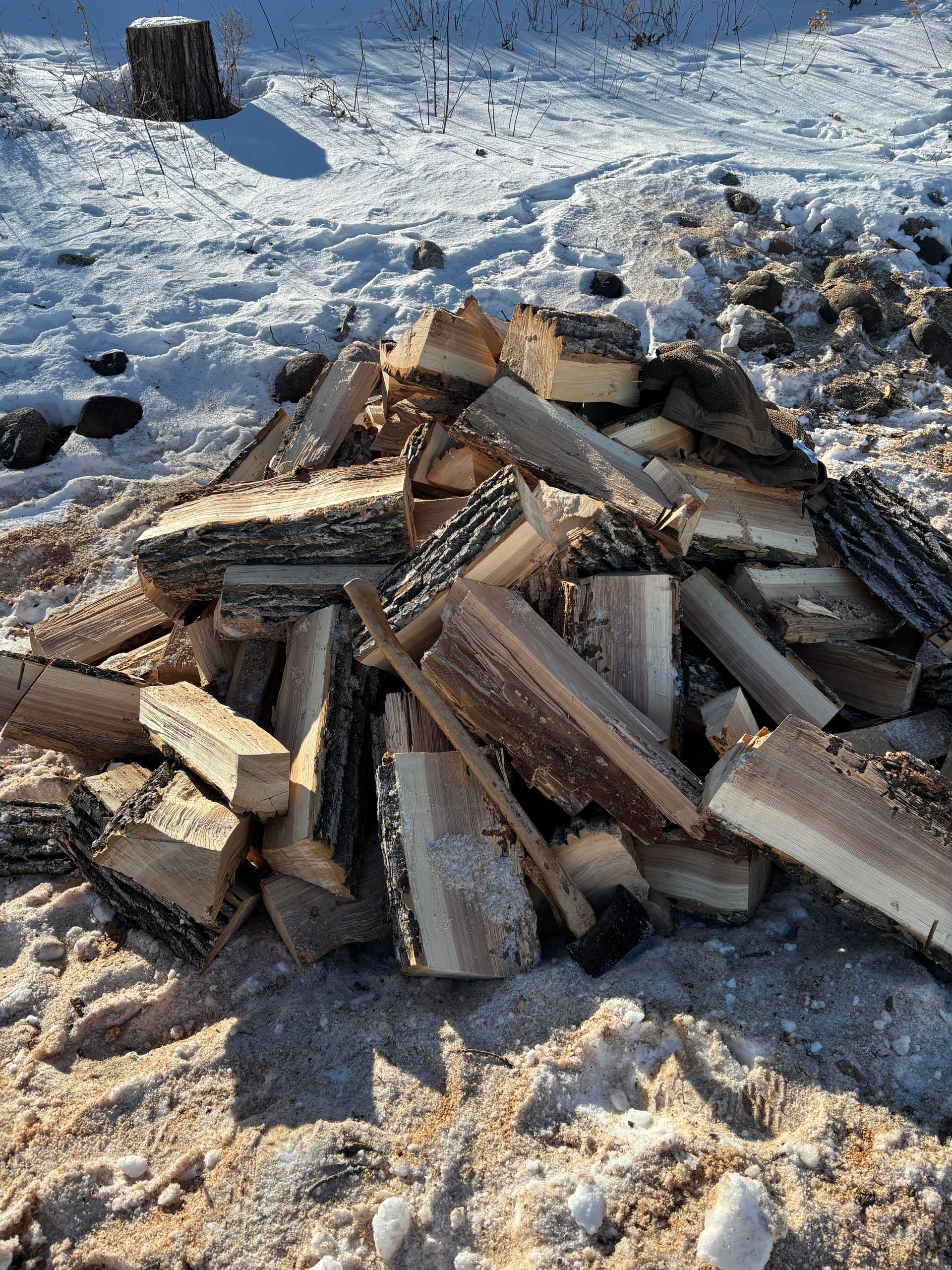 Gallery photos for Efficient Ash Tree Removal and Wood Splitting: Image #2