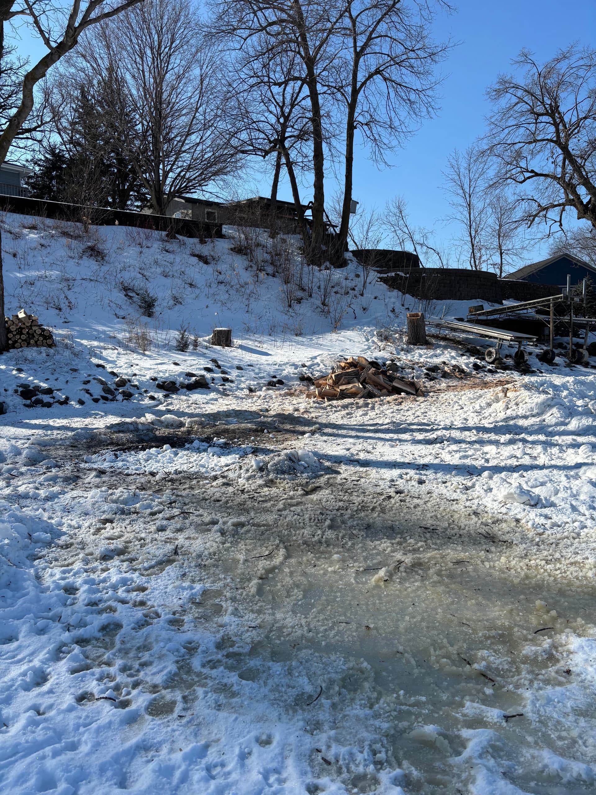Efficient Ash Tree Removal and Wood Splitting image