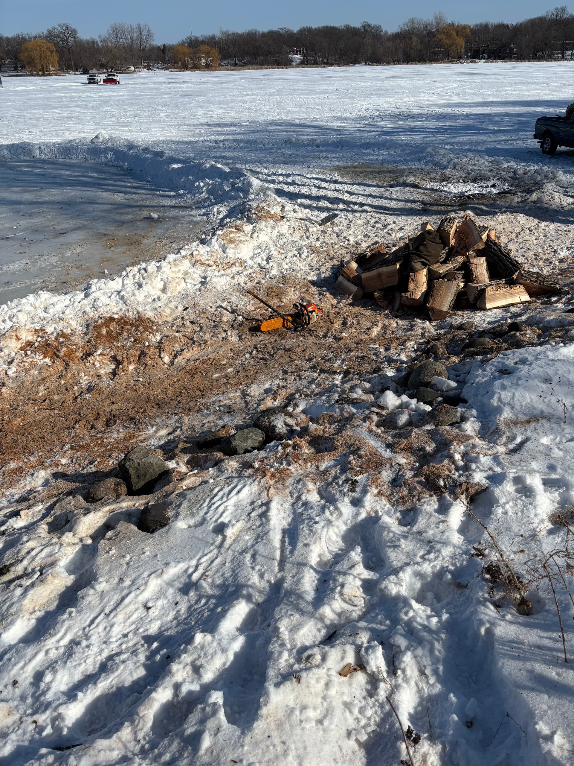 Gallery photos for Efficient Ash Tree Removal and Wood Splitting: Image #1